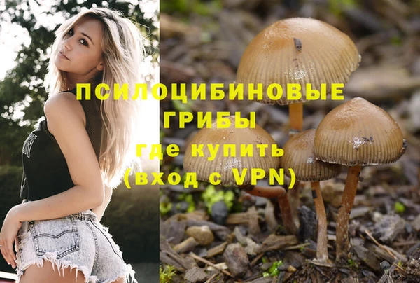 дистиллят марихуана Новозыбков
