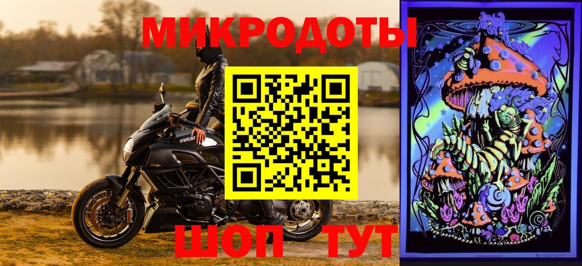 Галлюциногенные грибы Cubensis Красноуфимск